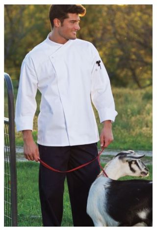 Santorini Chef Coat